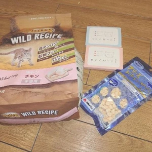 今日は何の日？