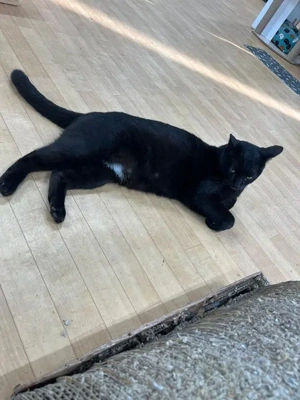 [お題]from:怖いんだけどさん