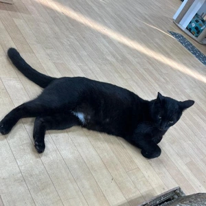 [お題]from:怖いんだけどさん