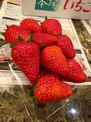 アロマゲートY様 -