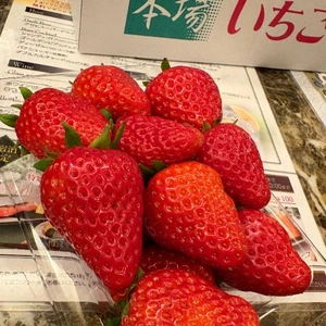 アロマゲートY様 -