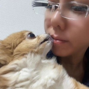 起きてきてしまったよ。。。