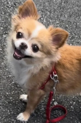 リフレッシュ休暇を有り難うございます♪