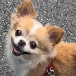 リフレッシュ休暇を有り難うございます♪