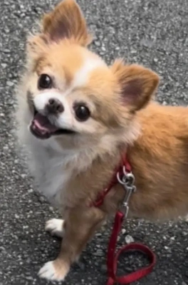 謎。。。