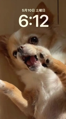 おはようございます♪