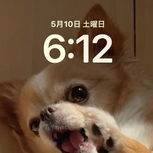 おはようございます♪