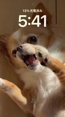 おはようございます♪
