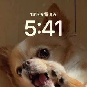 おはようございます♪