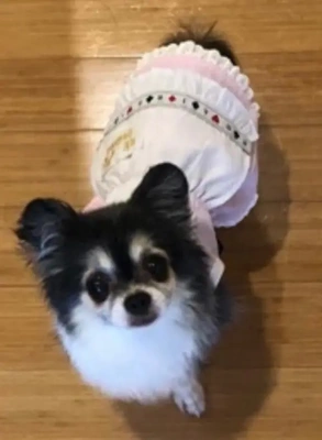 解るよ。その気持ち。