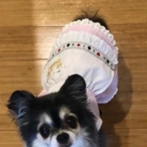 解るよ。その気持ち。
