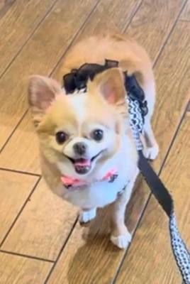 くっっっさっっ!!!