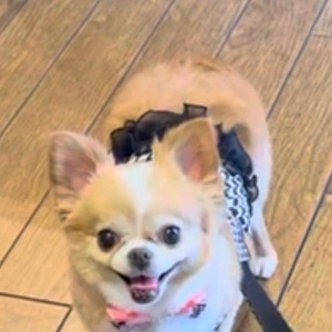 くっっっさっっ！！！
