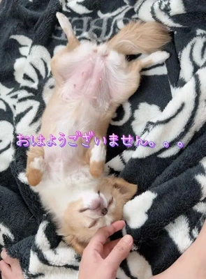 おはようございます♪