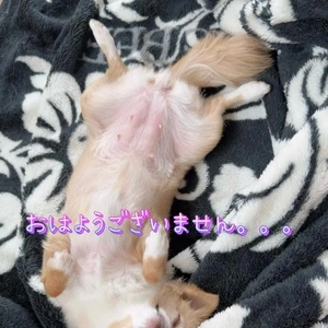 おはようございます♪