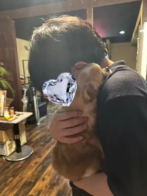 アニマルセラピー犬 ?ポポ? その2