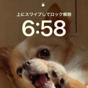 おはようございます♪