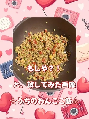 わんこご飯は手作りです?
