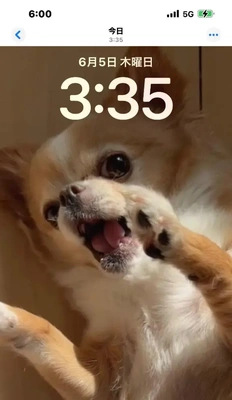 結局...