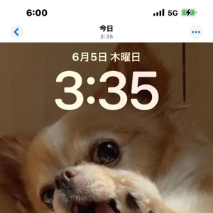 結局...
