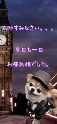 ☆犬の体内時計☆
