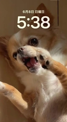 おはようございます♪