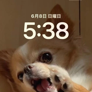 おはようございます♪