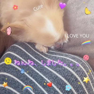 ?甘えん坊?