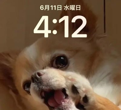 おはようございます ♪