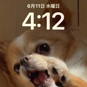 おはようございます ♪