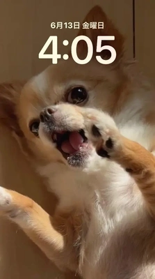 おはようございます。