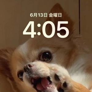 おはようございます。