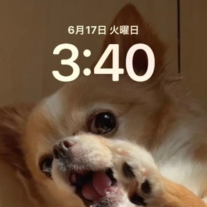 おやすみなさい。。。