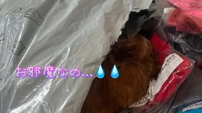 あやか単独イベント ☆選べる衣装50着☆