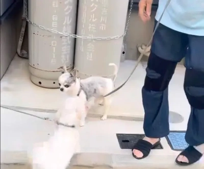 お散歩中 ♪