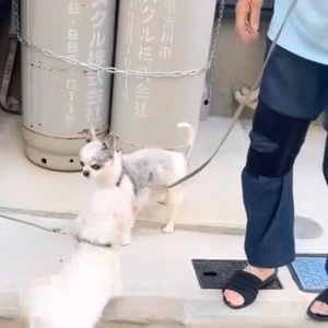 お散歩中 ♪