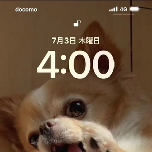 お休みの日に、1日３回言った事。