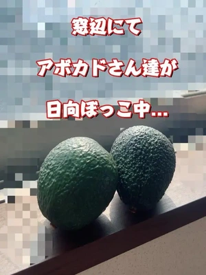 「お肌綺麗!」と、言われる秘訣かな...?!