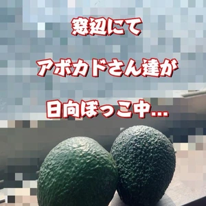 「お肌綺麗！」と、言われる秘訣かな...？！