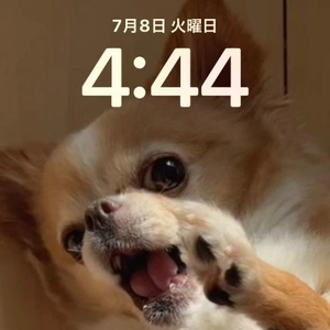 犬と暮らす生活