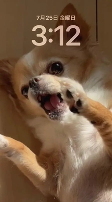おはようございます。
