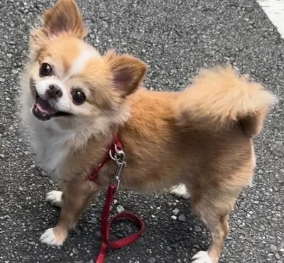 ☆悪質キャンセルについて☆