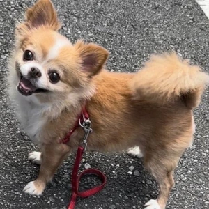 ☆悪質キャンセルについて☆