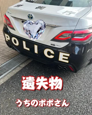 遺失物　うちのポポさん