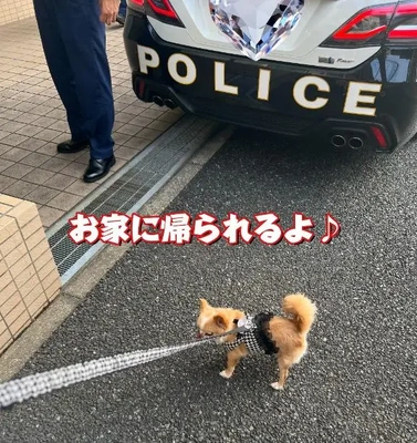 最寄りの交番へ行って下さい。