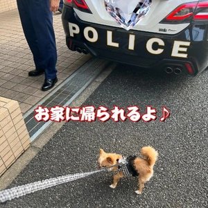 最寄りの交番へ行って下さい。