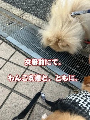 交番前にて。