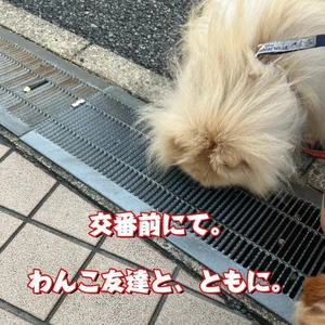 交番前にて。