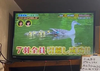 平和だなぁ〜 ♪