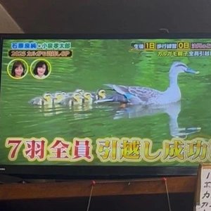 平和だなぁ〜 ♪